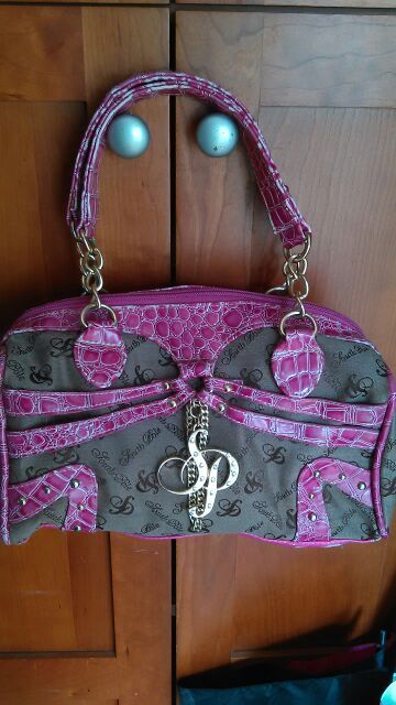 South Pole purse