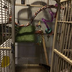 Bird Cage