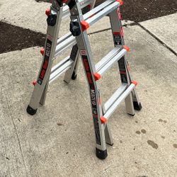 LITTLE GIANT Multi 13 Ladder 