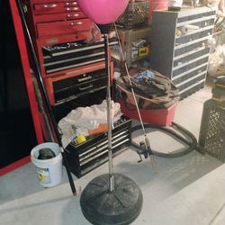 Training (Punching) Bag