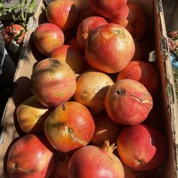 Granadas 