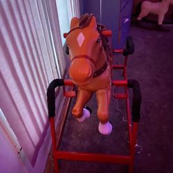 Horse Ride