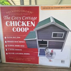 Brand new Chicken Coop
