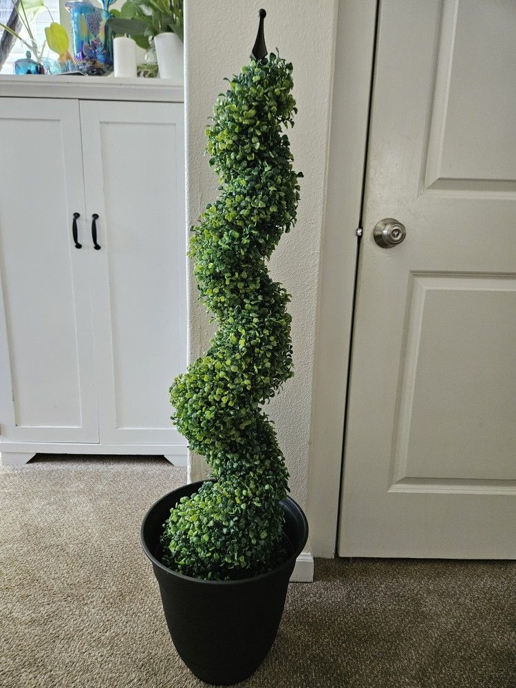 Spiral Topiary Plant Decor