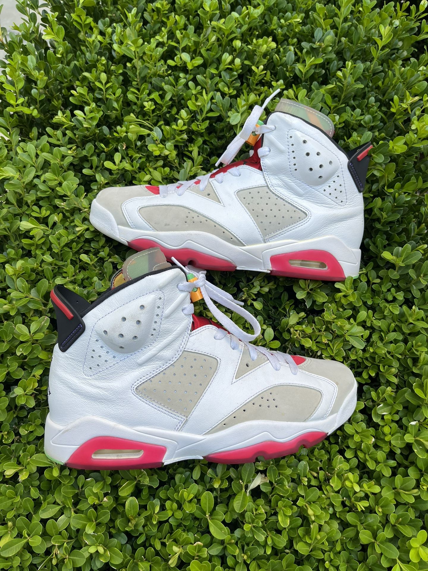 Size 8.5 - Air Jordan 6 Retro Hare