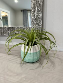 Fake Decorative Plant