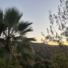 Makana M