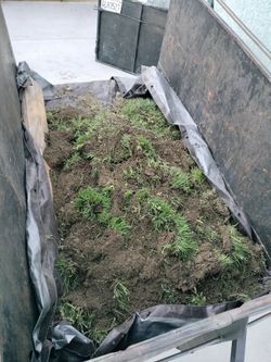 Free fill dirt