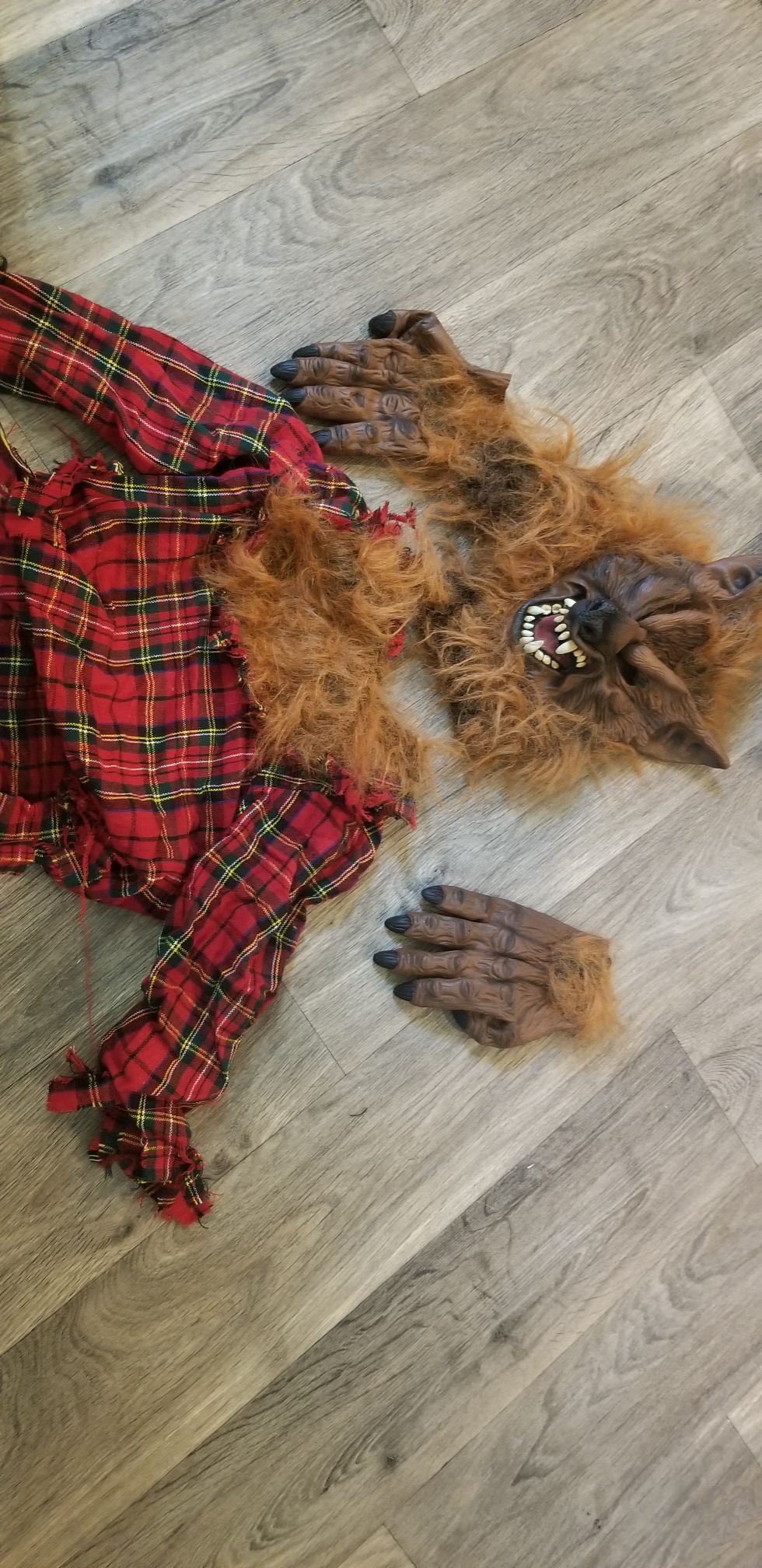 Boys Werewolf costume
