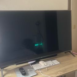 65in/25in LG TV