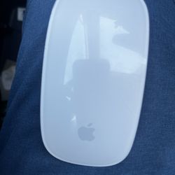 Apple Magic Mouse 