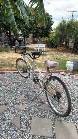 Antique bicycle