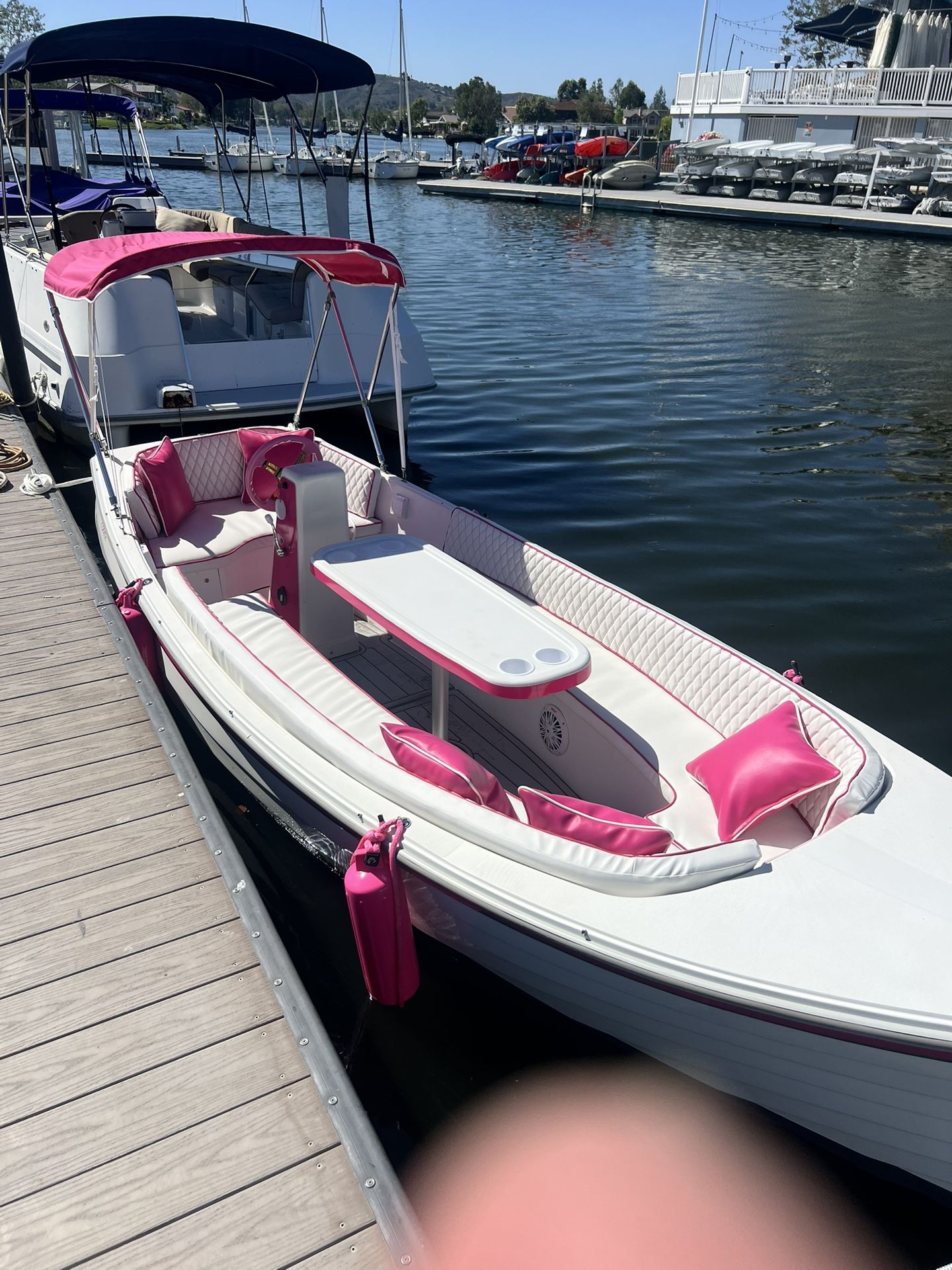“Pinky” 14’ Custom Electrcraft All New!