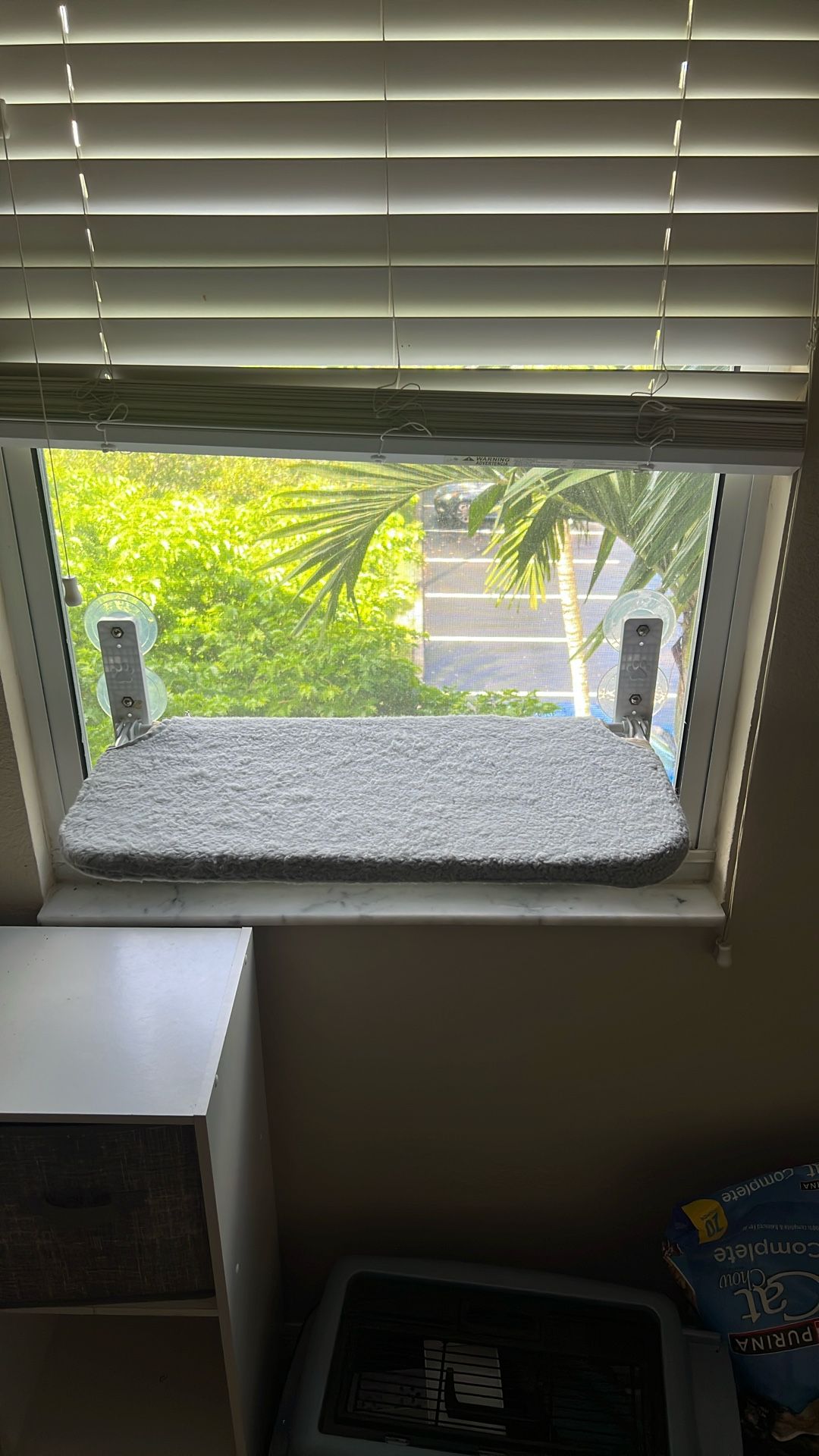 Cat Window Perch