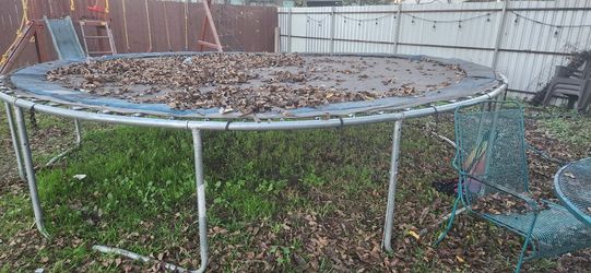 Trampoline