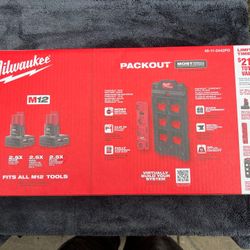 Milwaukee M12 12V Battery 2- Pack  With Rack 