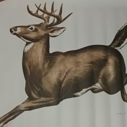 Paper Deer Targets