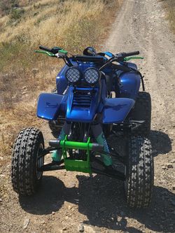 2004 warrior 350