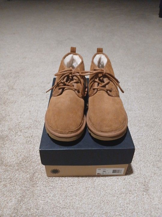 Ugg Shoes