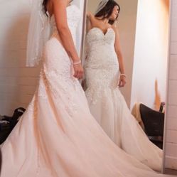 Mermaid Wedding Dress