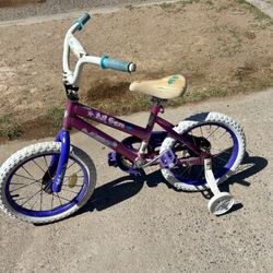 Bike 16"