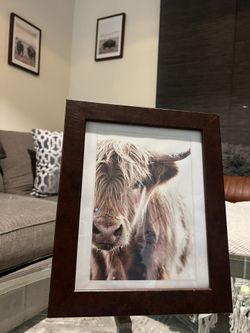 Framed Art