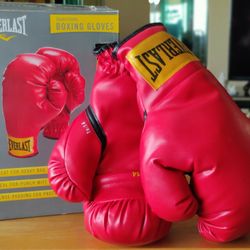 EVERLAST TRADITIONAL BOXING GLOVES 14