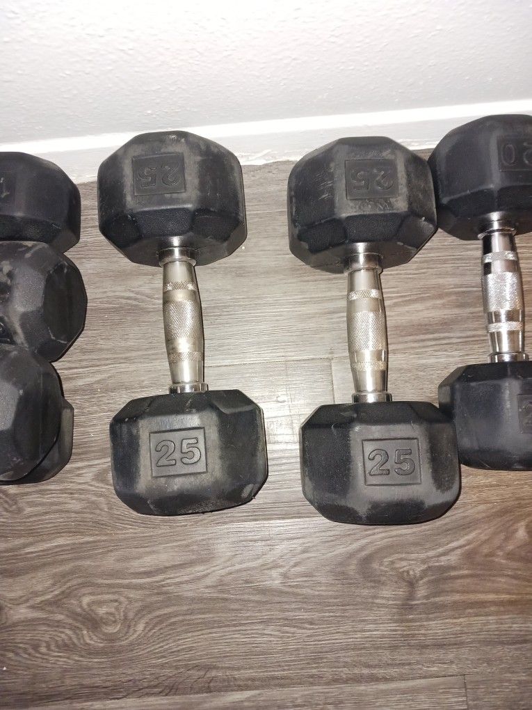 25lb Chrome Handle Dumbells