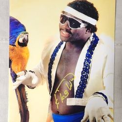 Koko B. Ware Autographed 8x10 Photo WWF WWE