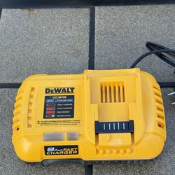 Dewalt. 20v 8amp Fast charger.