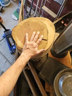 Beautiful Wood Slices 