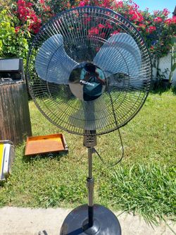 Black Fan powerful Pelonis