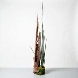 Tall Indoor Plant Decor – 73.5” Driftwood Floor Centerpiece