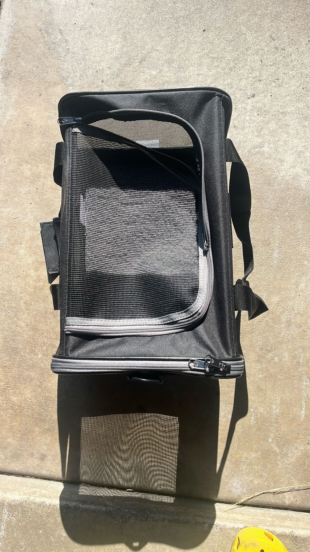 Cat Travel Bag