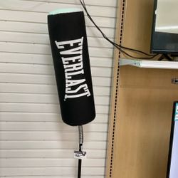 Everlast Boxing Bag