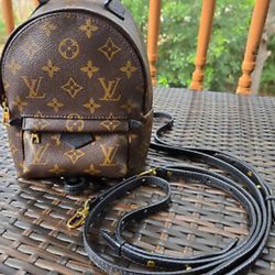 LV Palm Springs Backpack Louis Vuitton Handbag Purse 