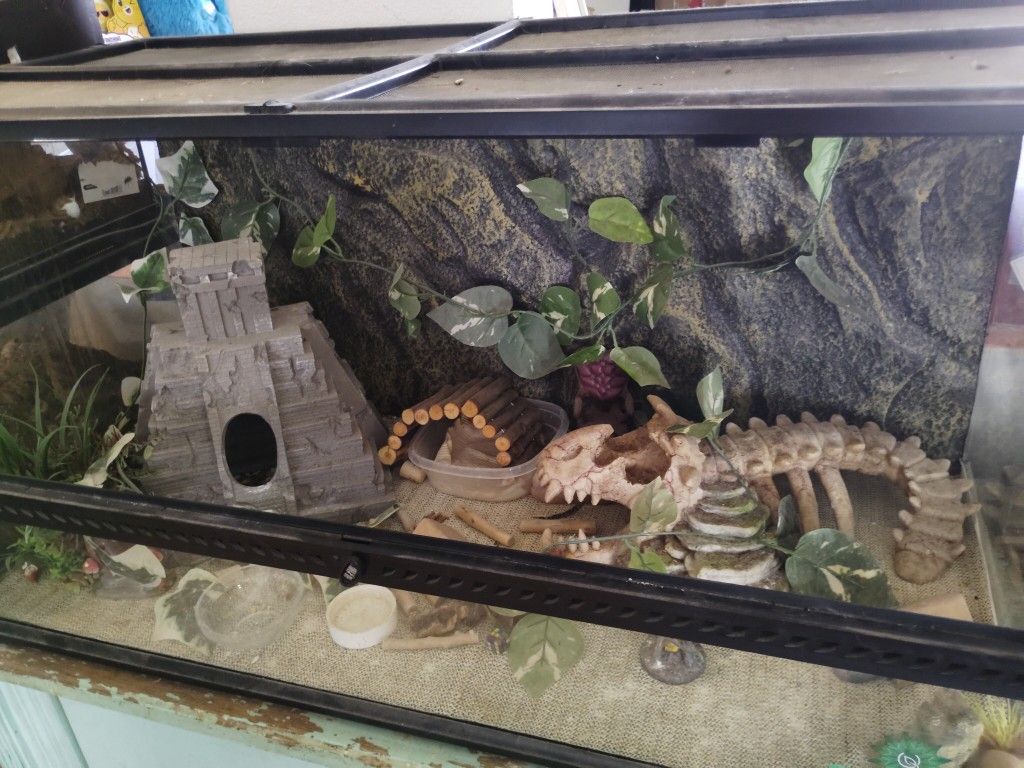 Exo Terra Reptile Habitat