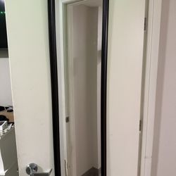 Door Mirror