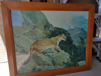 Puma Framed with Glass