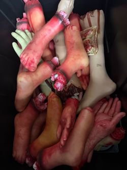 Life like human body parts with blood Halloween