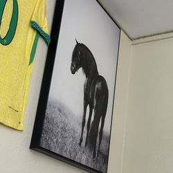 Cuadro Caballo Grande