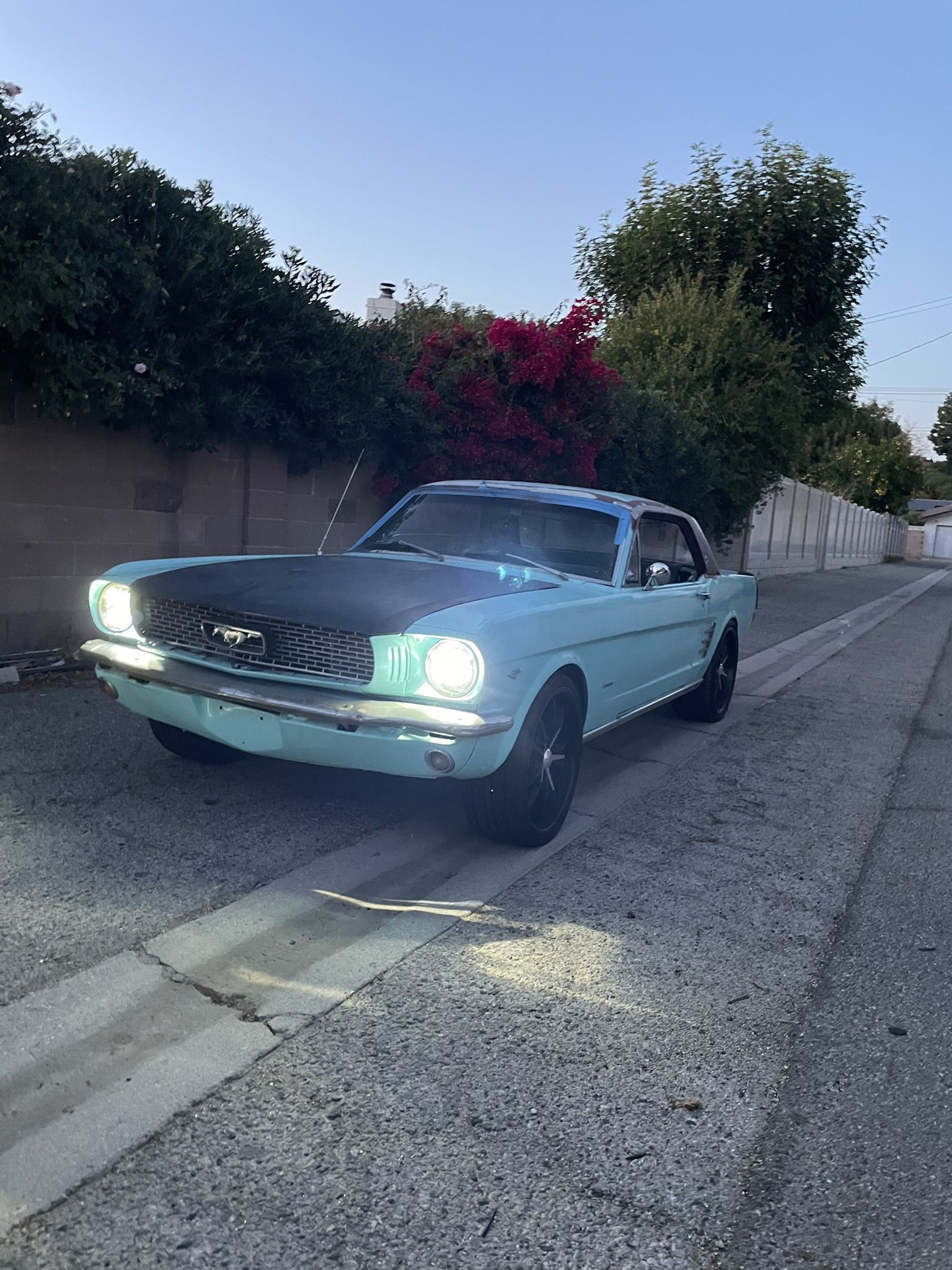1966 Ford Mustang