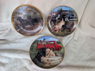 Labrador Retriever Collector Plates Set of 3