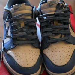 Nike Dunks Low Retro