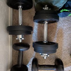 Dumbbell Weights