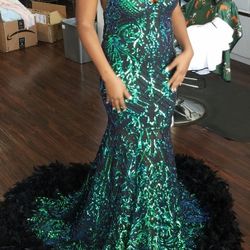Long Sequin Dress/Gown With Boa