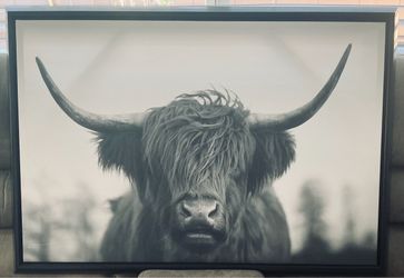 Highland Cow Framed Wall Art
