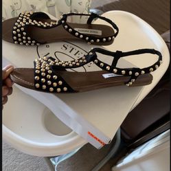 Women Steve Madden Sandals