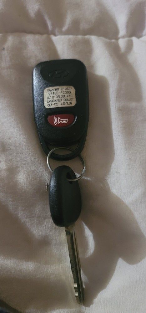 Misc Car Alarm Remotes