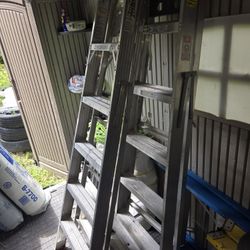 Ladders Each One 